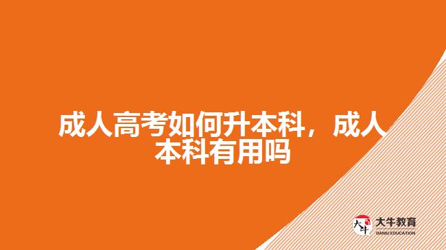 成人高考如何升本科，成人本科有用嗎