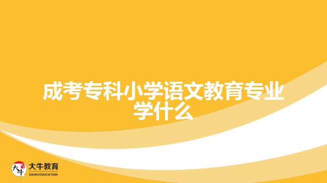 成考?？菩W(xué)語文教育專業(yè)學(xué)什么