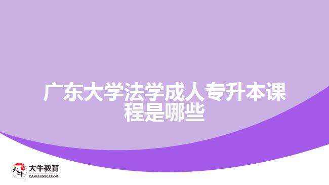 廣東大學(xué)法學(xué)成人專升本課程是哪些