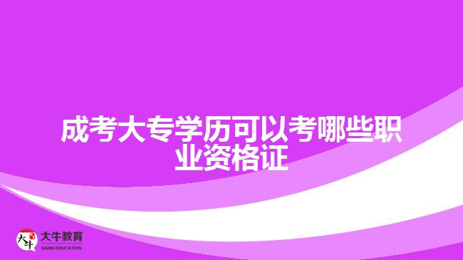 成考大專學歷可以考哪些職業(yè)資格證