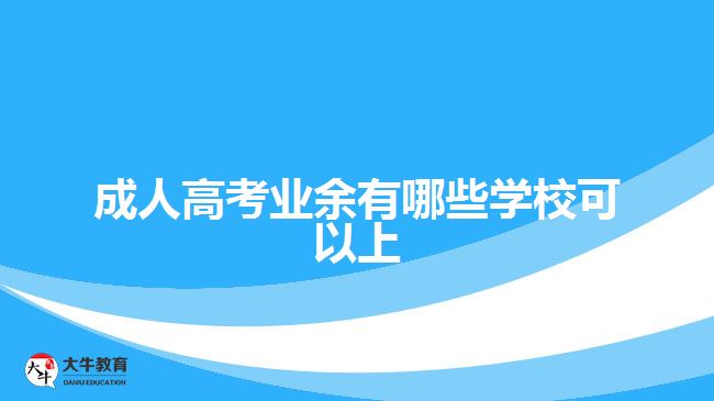 成人高考業(yè)余有哪些學(xué)?？梢陨? width='170' height='105'/></a></dt>
						<dd><a href=