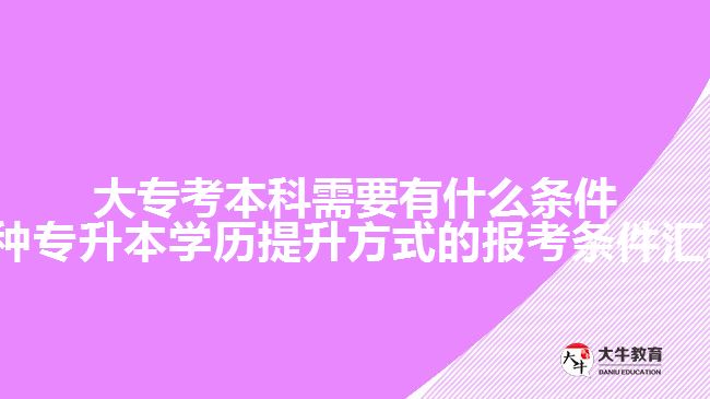 大?？急究菩枰惺裁礂l件