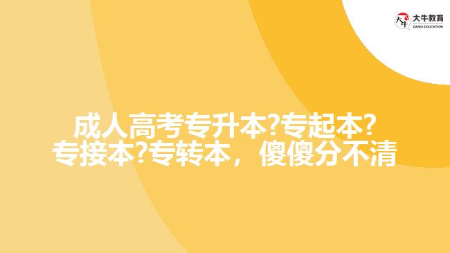 成人高考專升本?專起本?專接本?專轉(zhuǎn)本，傻傻分不清