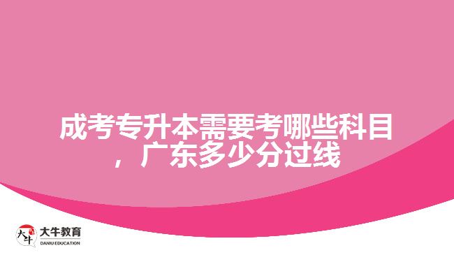 成考專(zhuān)升本需要考哪些科目，廣東多少分過(guò)線