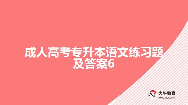 成人高考專(zhuān)升本語(yǔ)文練習(xí)題及答案6