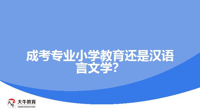 成考專業(yè)小學教育還是漢語言文學？