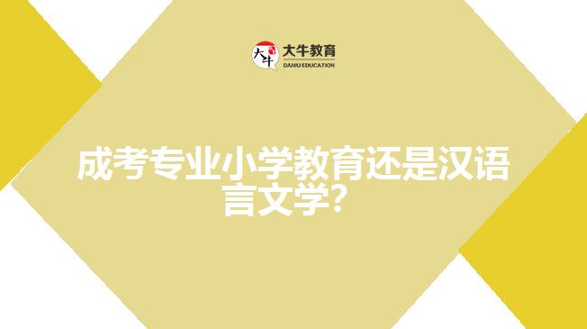 成考小學(xué)教育還是漢語(yǔ)言文學(xué)？