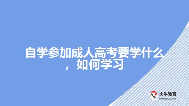 自學(xué)參加成考要學(xué)什么，如何學(xué)習(xí)