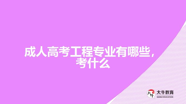 成人高考工程專(zhuān)業(yè)有哪些，考什么