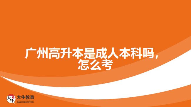 廣州高升本是成人本科嗎，怎么考
