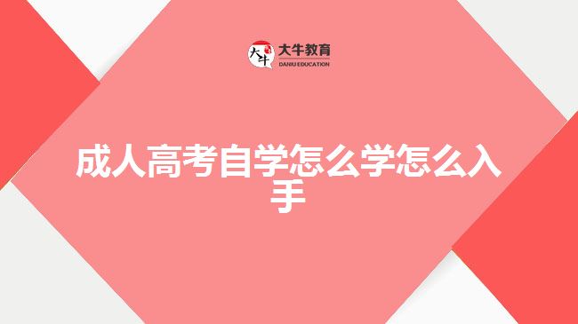 成人高考自學怎么學怎么入手