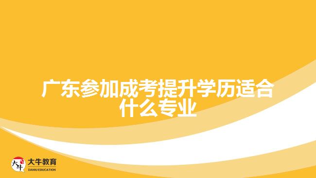 廣東參加成考提升學歷適合什么專業(yè)
