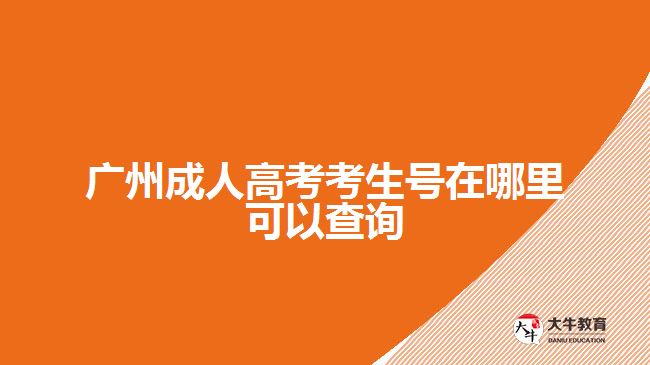 廣州成人高考考生號在哪里可以查詢