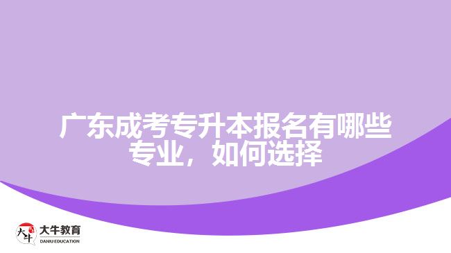 廣東成考專升本報(bào)名有哪些專業(yè)，如何選擇