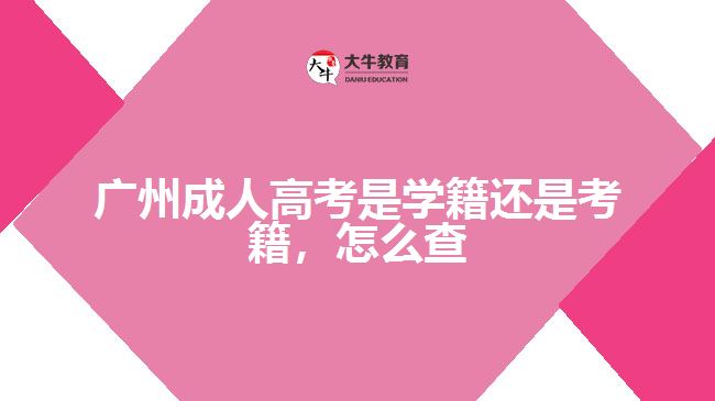 廣州成人高考是學(xué)籍還是考籍，怎么查