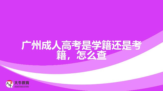 廣州成人高考是學(xué)籍還是考籍，怎么查