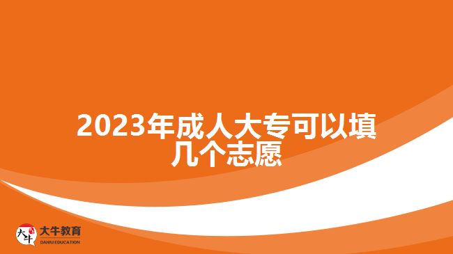 2023年成人大?？梢蕴顜讉€志愿