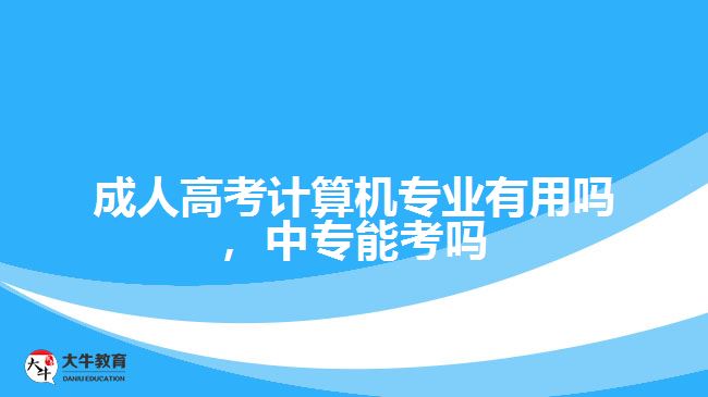 成考計算機專業(yè)有用嗎，中專能考嗎