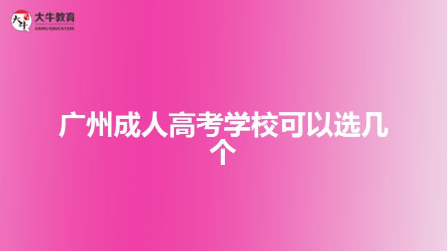 廣州成人高考學?？梢赃x幾個