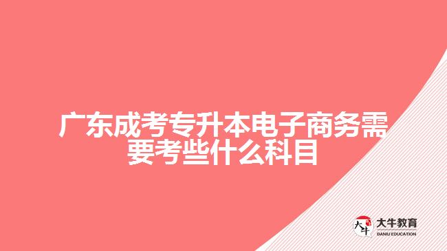 廣東成考專升本電子商務需要考些什么科目