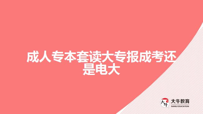 成人專本套讀大專報(bào)成考還是電大