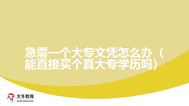 急需一個(gè)大專(zhuān)文憑怎么辦（能直接買(mǎi)個(gè)真大專(zhuān)學(xué)歷嗎）