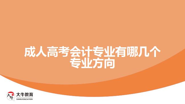 成人高考會計(jì)專業(yè)有哪幾個專業(yè)方向