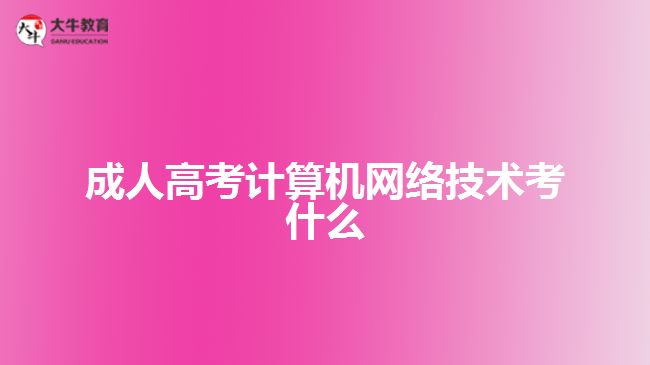 成人高考計算機(jī)網(wǎng)絡(luò)技術(shù)考什么