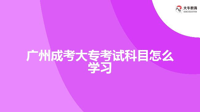 廣州成考大?？荚嚳颇吭趺磳W(xué)習(xí)
