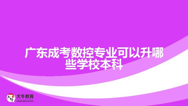 廣東成考數(shù)控專業(yè)可以升哪些學校本科