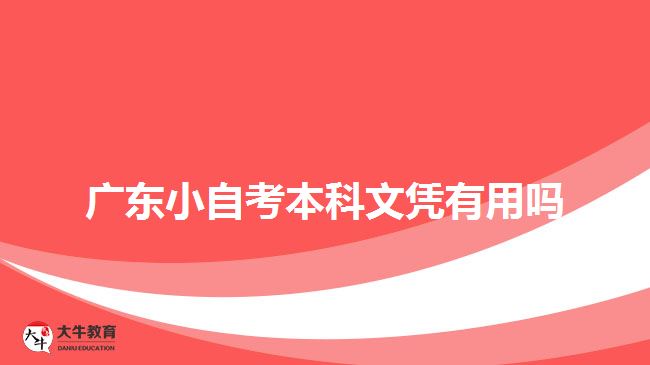 廣東小自考本科文憑有用嗎