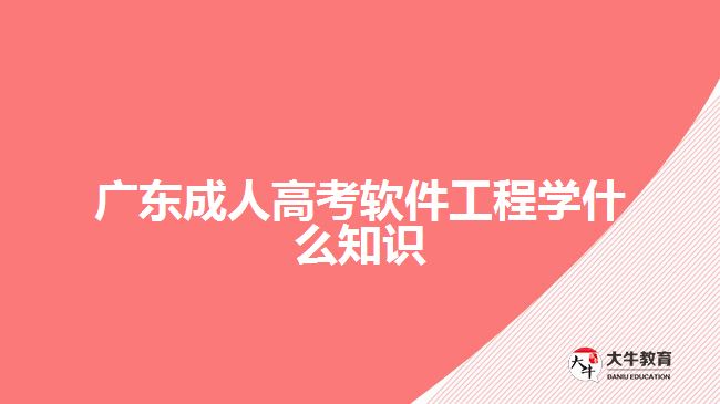 廣東成人高考軟件工程學什么知識