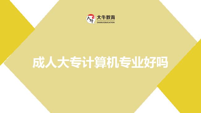 成人大專計算機專業(yè)好嗎