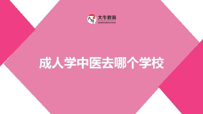 成人學中醫(yī)去哪個學校