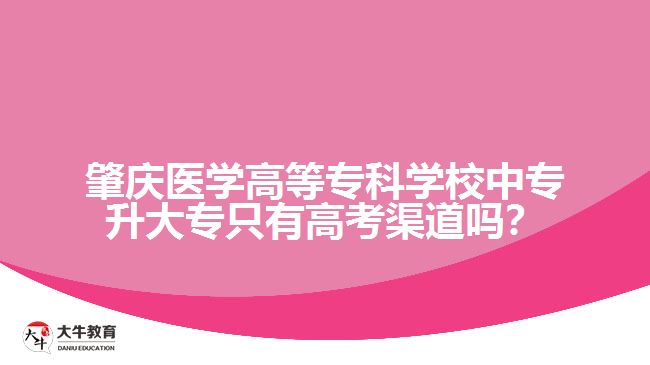 肇慶醫(yī)學高等?？茖W校中專升大專只有高考渠道嗎？