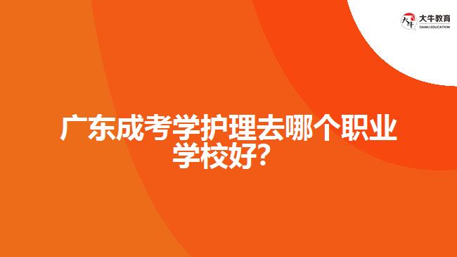 廣東成考學(xué)護(hù)理去哪個(gè)職業(yè)學(xué)校好？