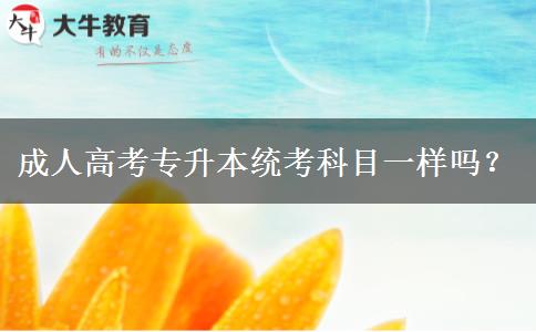 成人高考專(zhuān)升本統(tǒng)考科目一樣嗎？