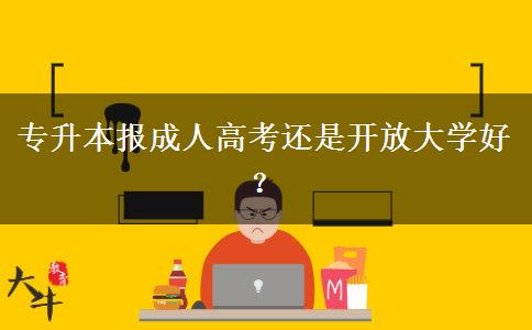 專升本報(bào)成人高考還是開放大學(xué)好？