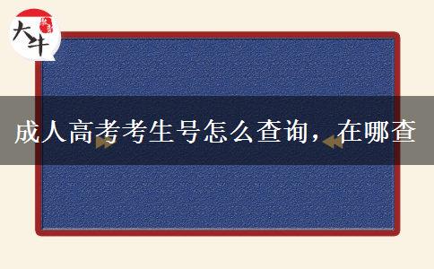 成人高考考生號(hào)怎么查詢，在哪查