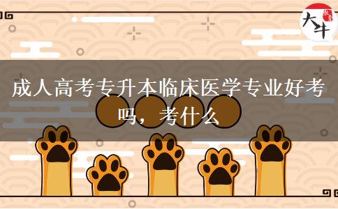 成人高考專升本臨床醫(yī)學(xué)專業(yè)好考嗎，考什么