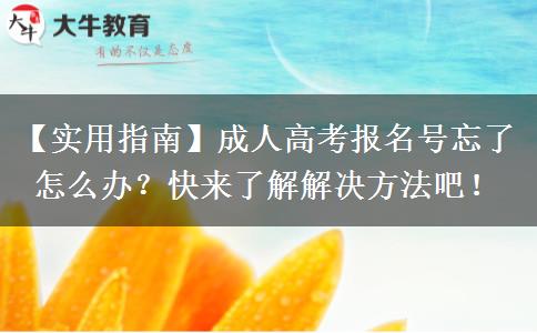 成人高考報名號忘了怎么辦？