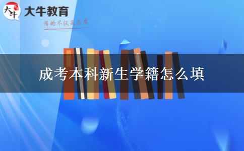 成考本科新生學籍怎么填