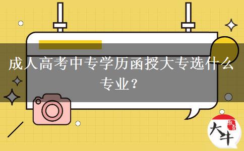 成人高考中專學(xué)歷函授大專選什么專業(yè)？
