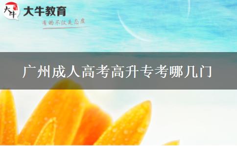 廣州成人高考高升?？寄膸组T