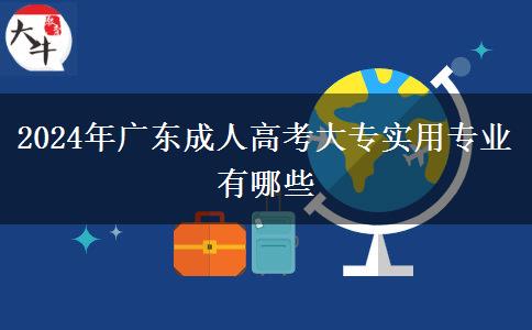 2024年廣東成人高考大專(zhuān)實(shí)用專(zhuān)業(yè)有哪些