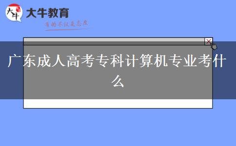 廣東成人高考專(zhuān)科計(jì)算機(jī)專(zhuān)業(yè)考什么