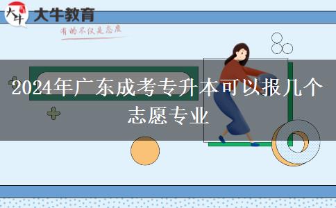2024年廣東成考專(zhuān)升本可以報(bào)幾個(gè)志愿專(zhuān)業(yè)
