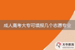 2024年廣東成人高考大專(zhuān)可填報(bào)幾個(gè)志愿專(zhuān)業(yè)