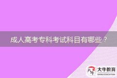 2024年廣東成人高考?？瓶荚嚳颇坑心男?？