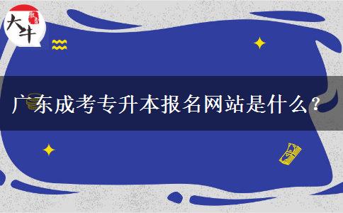 廣東成考專升本報(bào)名網(wǎng)站是什么？